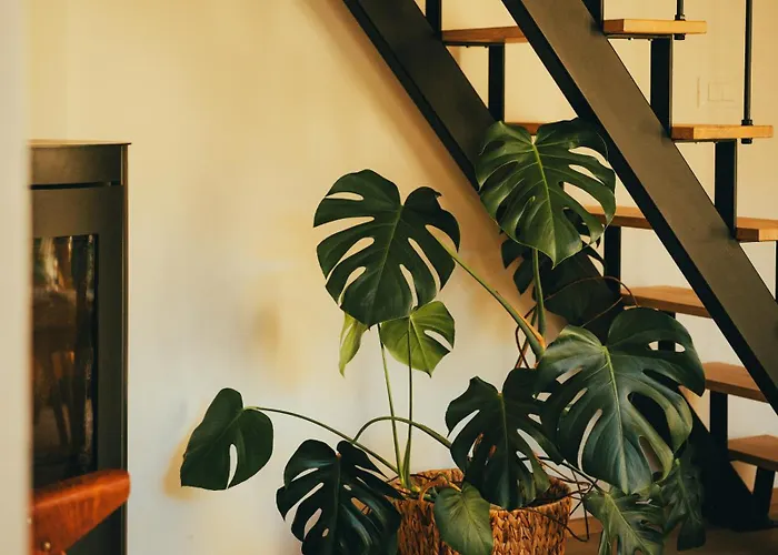 Tiny Eko House בית נופש